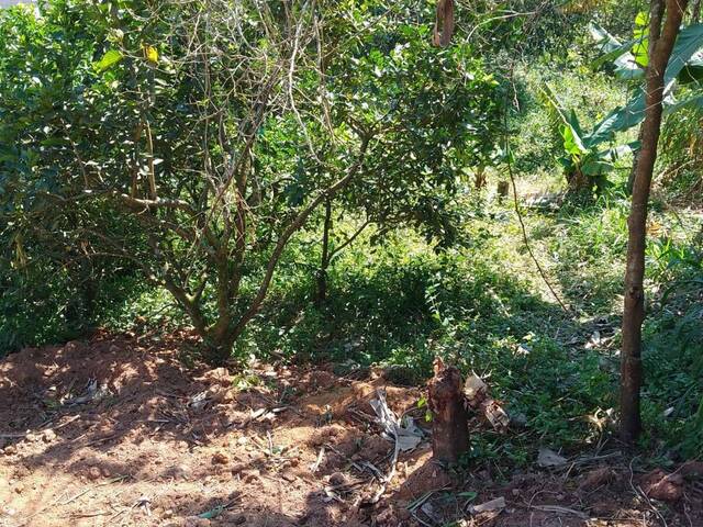 Terreno para Venda em Suzano - 5