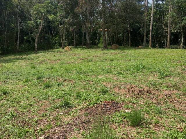 Terreno para Venda em Ribeirão Pires - 4