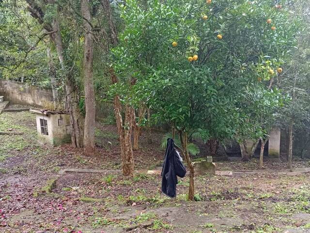 #4743 - Casa para Venda em Ribeirão Pires - SP - 3