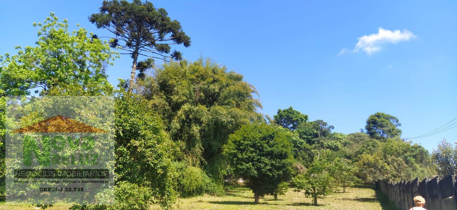 Chácara à venda com 2 quartos, 7845m² - Foto 10
