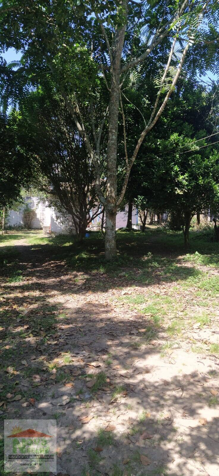 Chácara à venda com 2 quartos, 7845m² - Foto 13