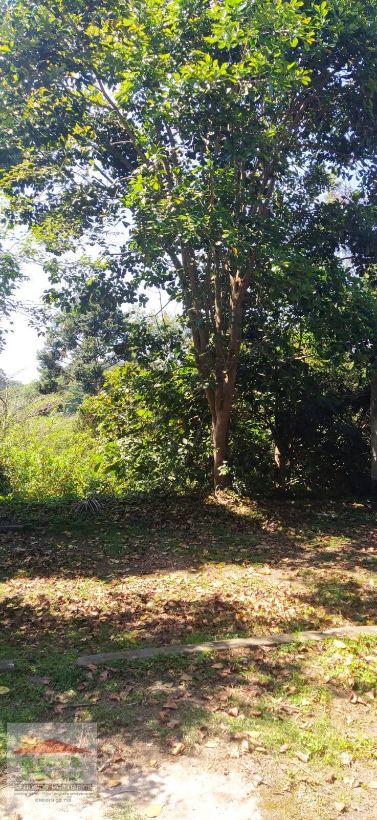 Chácara à venda com 2 quartos, 7845m² - Foto 14