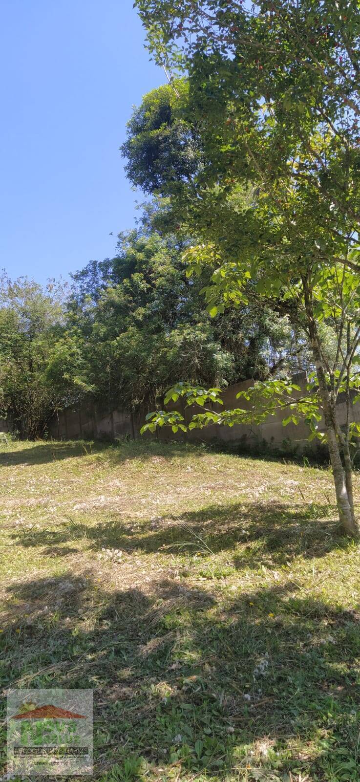 Chácara à venda com 2 quartos, 7845m² - Foto 16