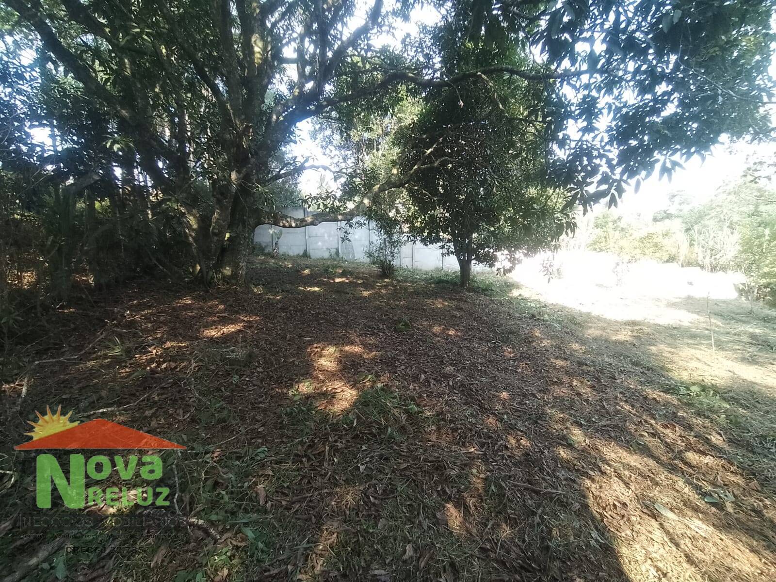 Chácara, 3 quartos, 1600 m² - Foto 4