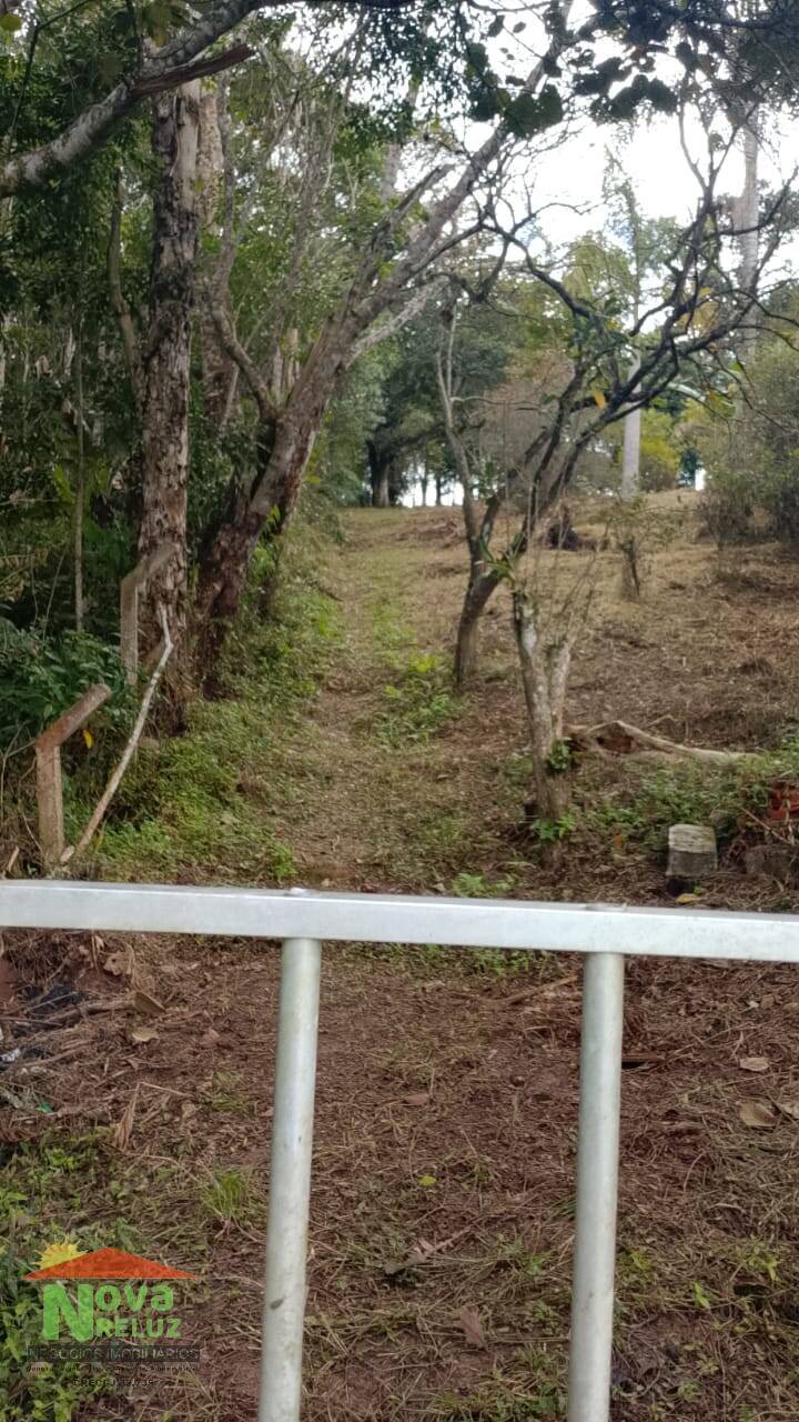 Chácara, 3 quartos, 1600 m² - Foto 5