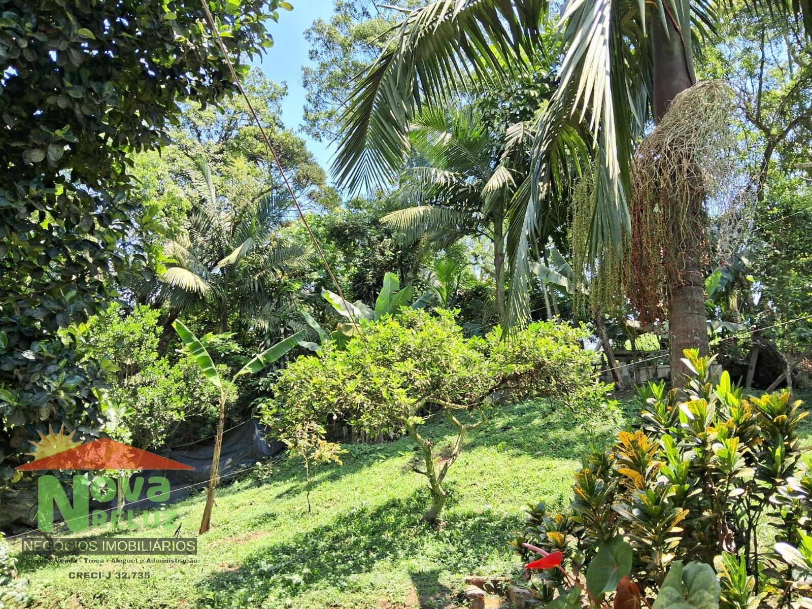 Chácara, 3 quartos, 1600 m² - Foto 21