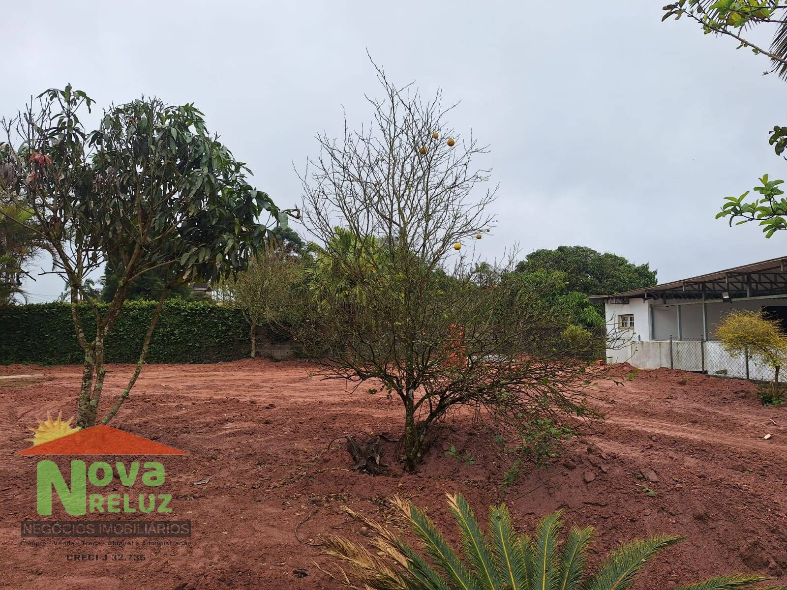 Terreno, 250 m² - Foto 4