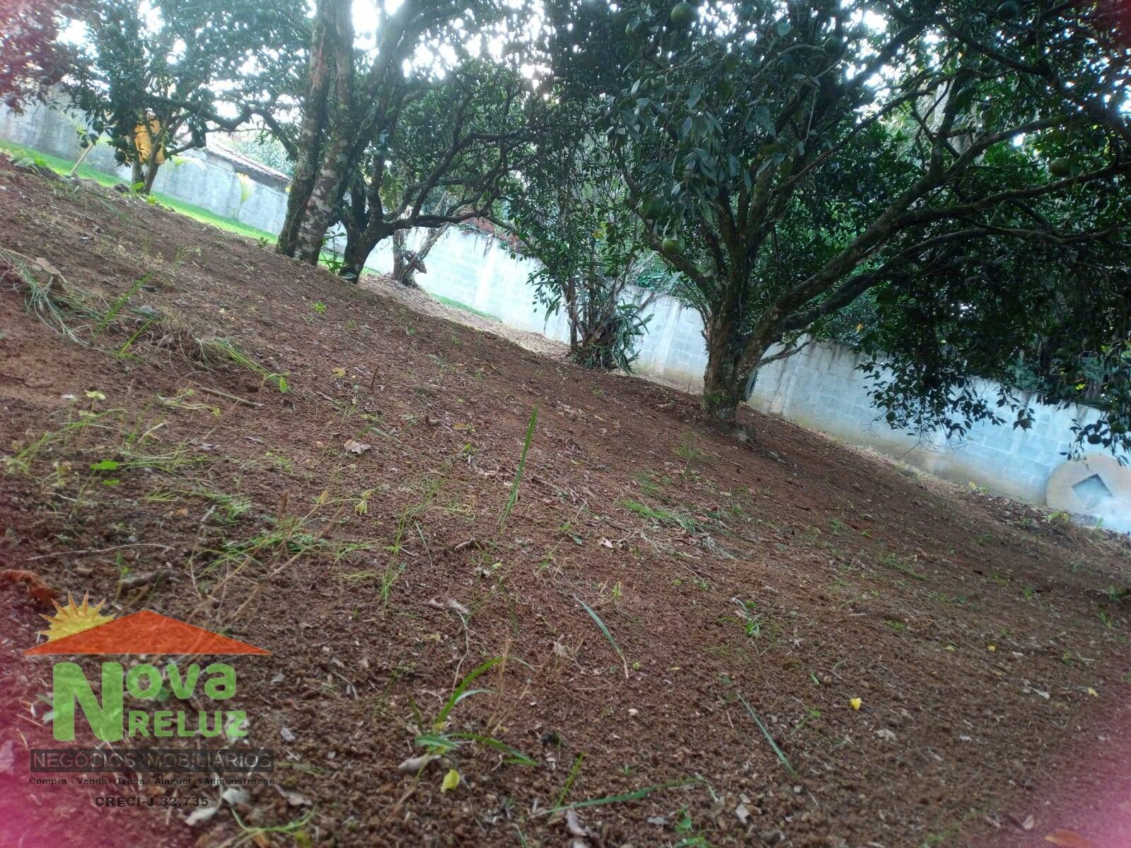 Chácara, 2 quartos, 1000 m² - Foto 11