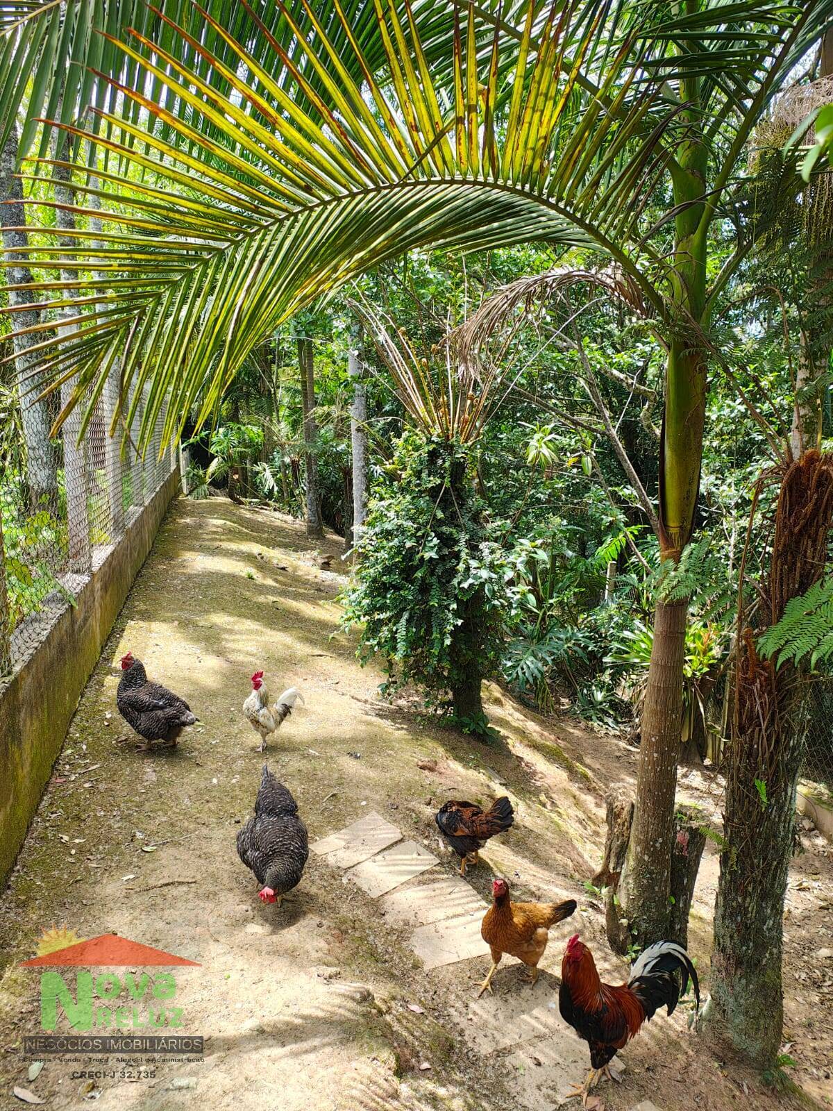 Terreno, 7620 m² - Foto 6