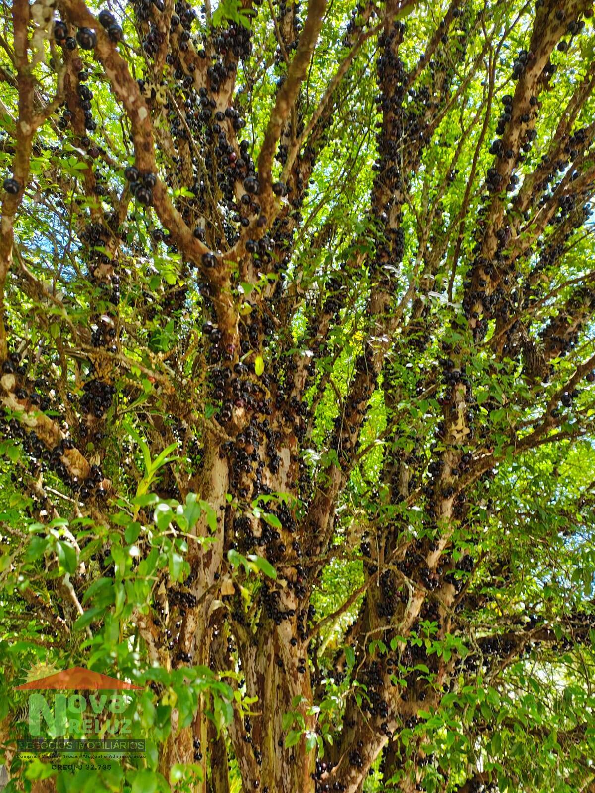 Terreno, 7620 m² - Foto 38