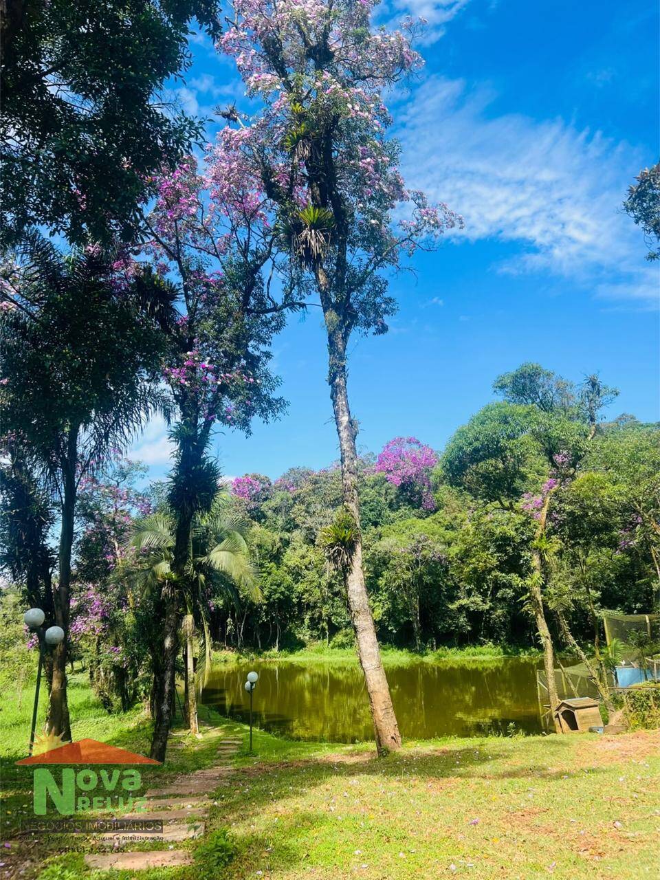 Sítio, 2 quartos, 2 hectares - Foto 10