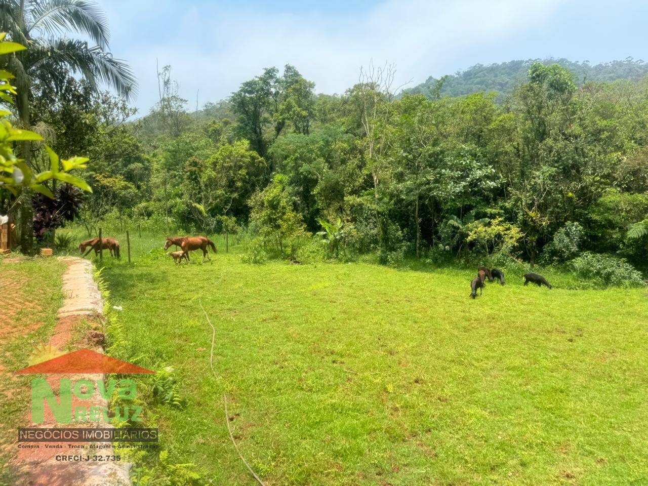 Sítio, 2 quartos, 2 hectares - Foto 21