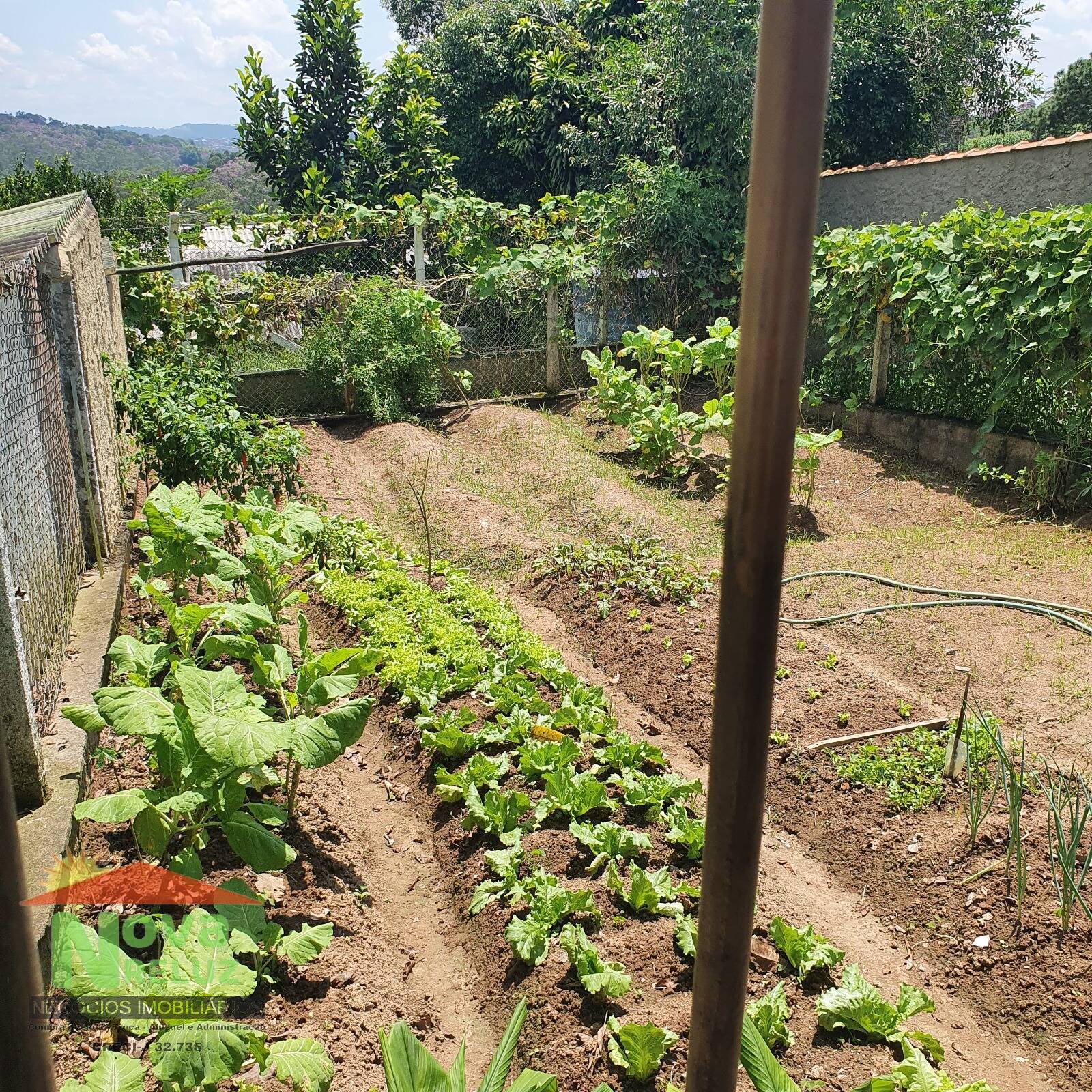 Chácara, 11 quartos, 4400 m² - Foto 19