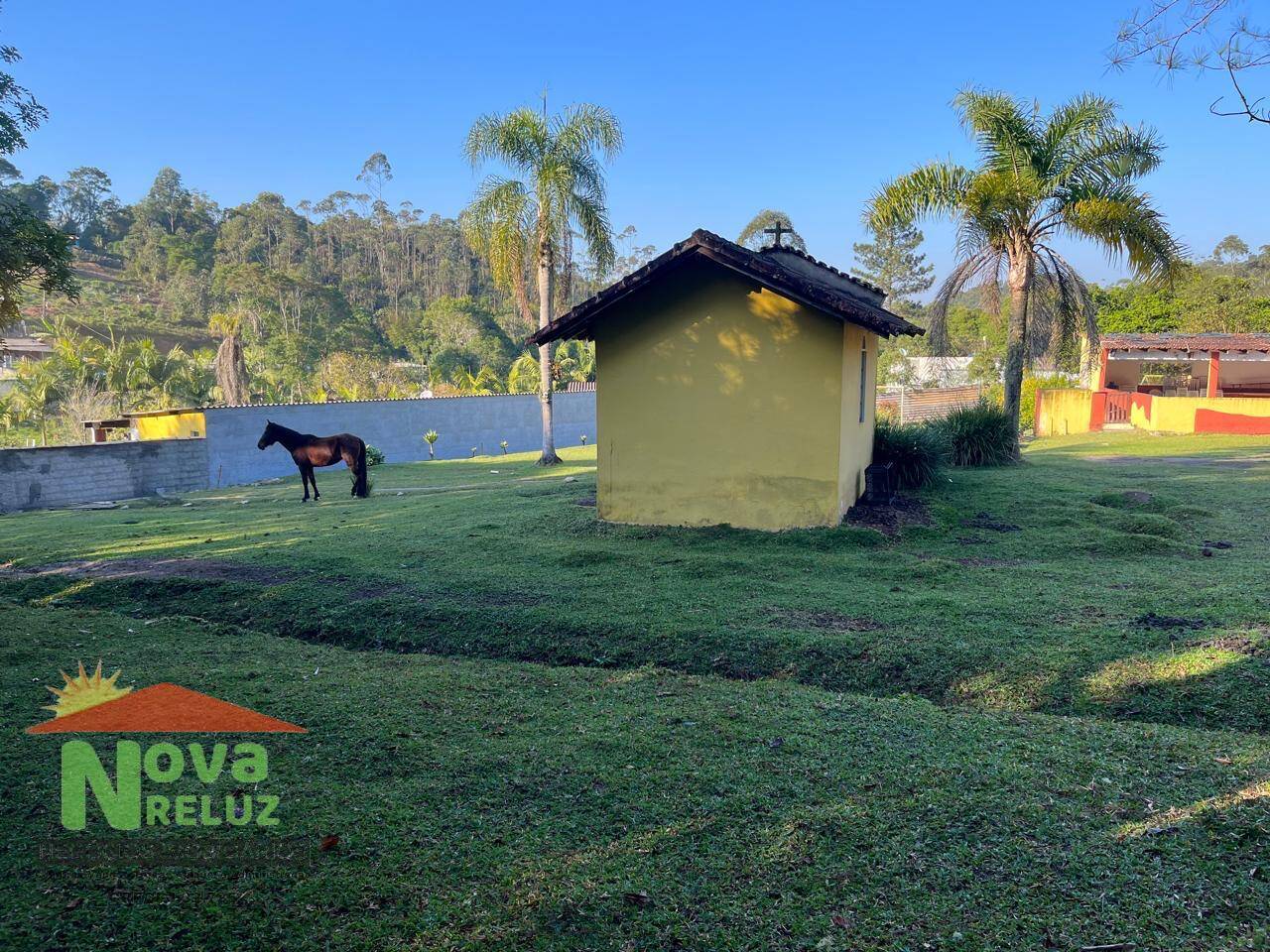 Sítio, 3 quartos, 2 hectares - Foto 6