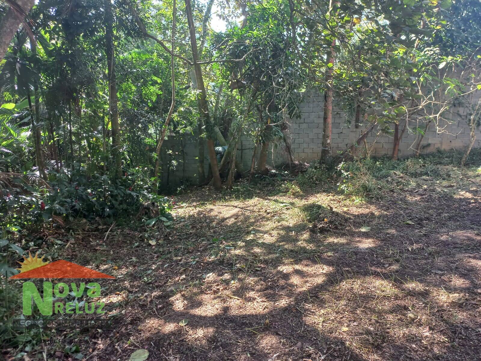 Chácara, 2 quartos, 1306 m² - Foto 14