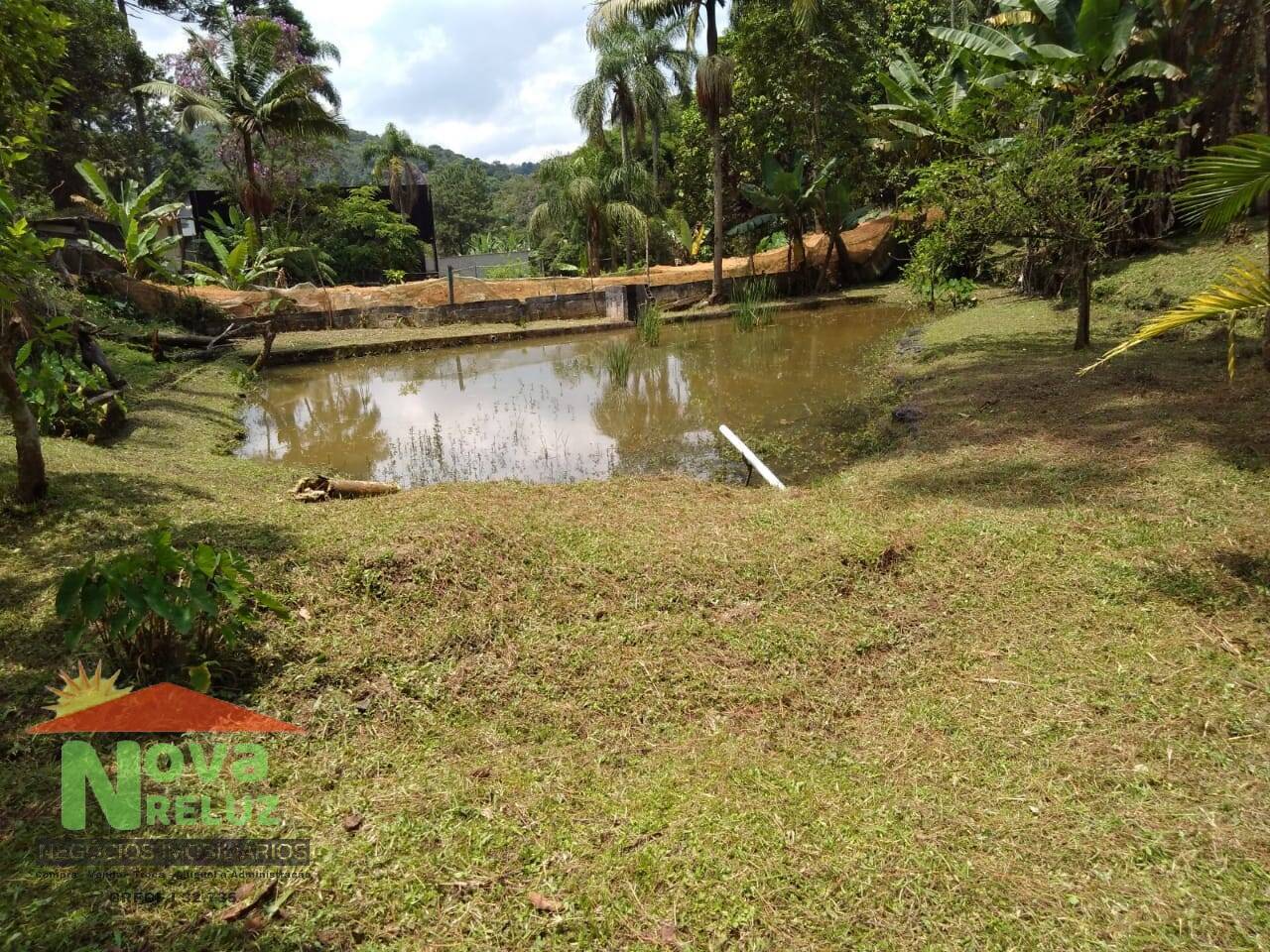 Chácara, 2 quartos, 5586 m² - Foto 10