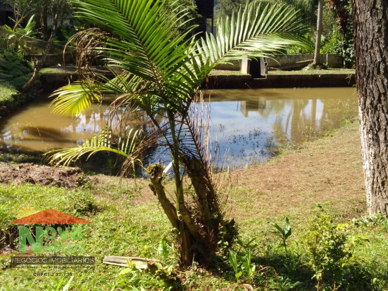 Chácara, 2 quartos, 5586 m² - Foto 15