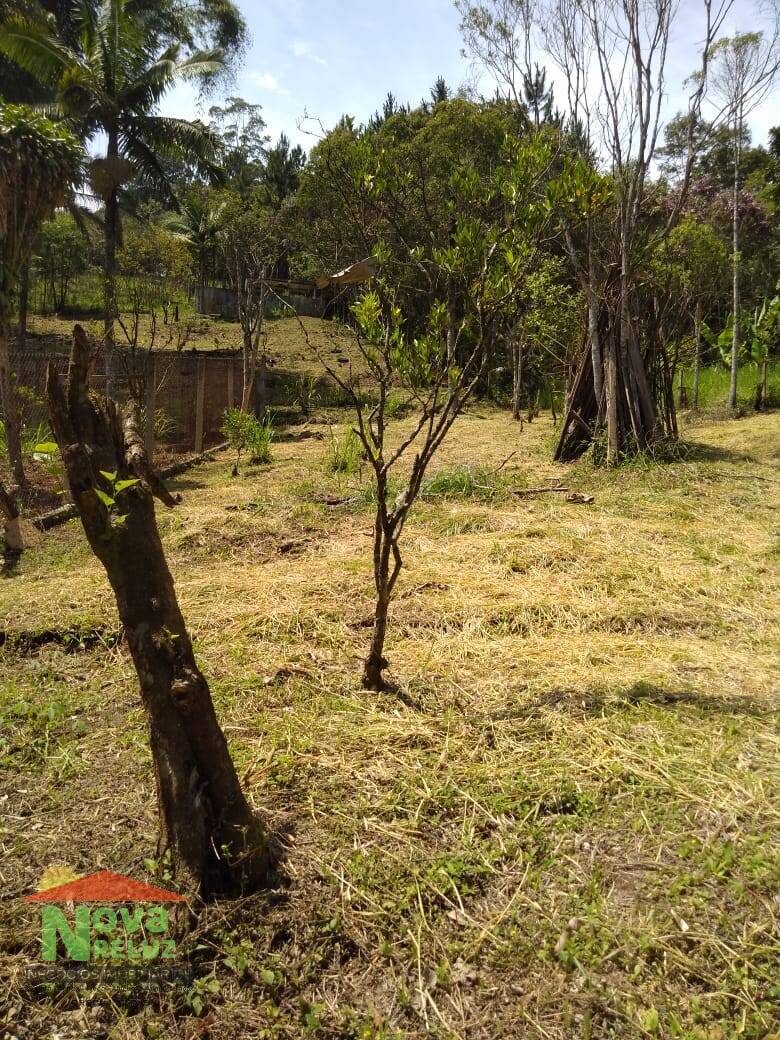 Chácara, 2 quartos, 5586 m² - Foto 17