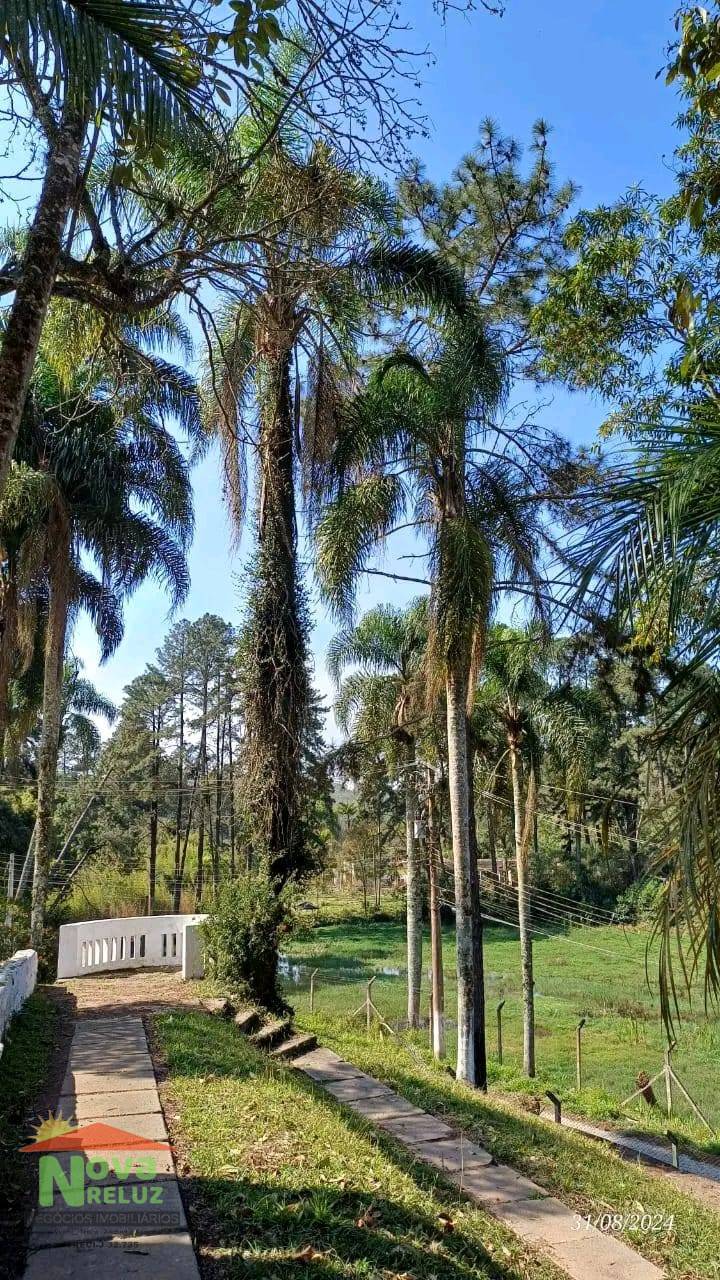 Chácara, 4 quartos, 3000 m² - Foto 10