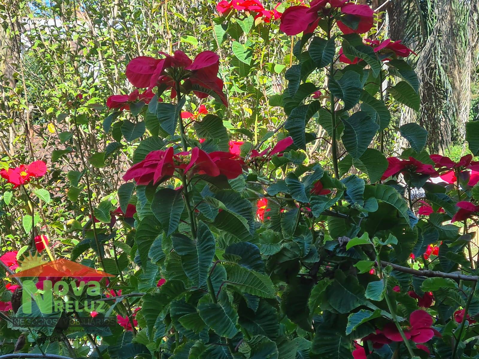 Sobrado, 157 m² - Foto 5