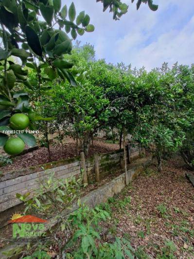 Chácara, 4 quartos, 1000 m² - Foto 10