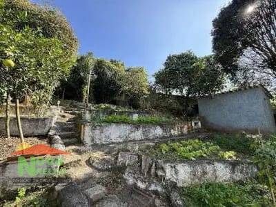 Chácara, 4 quartos, 1000 m² - Foto 18