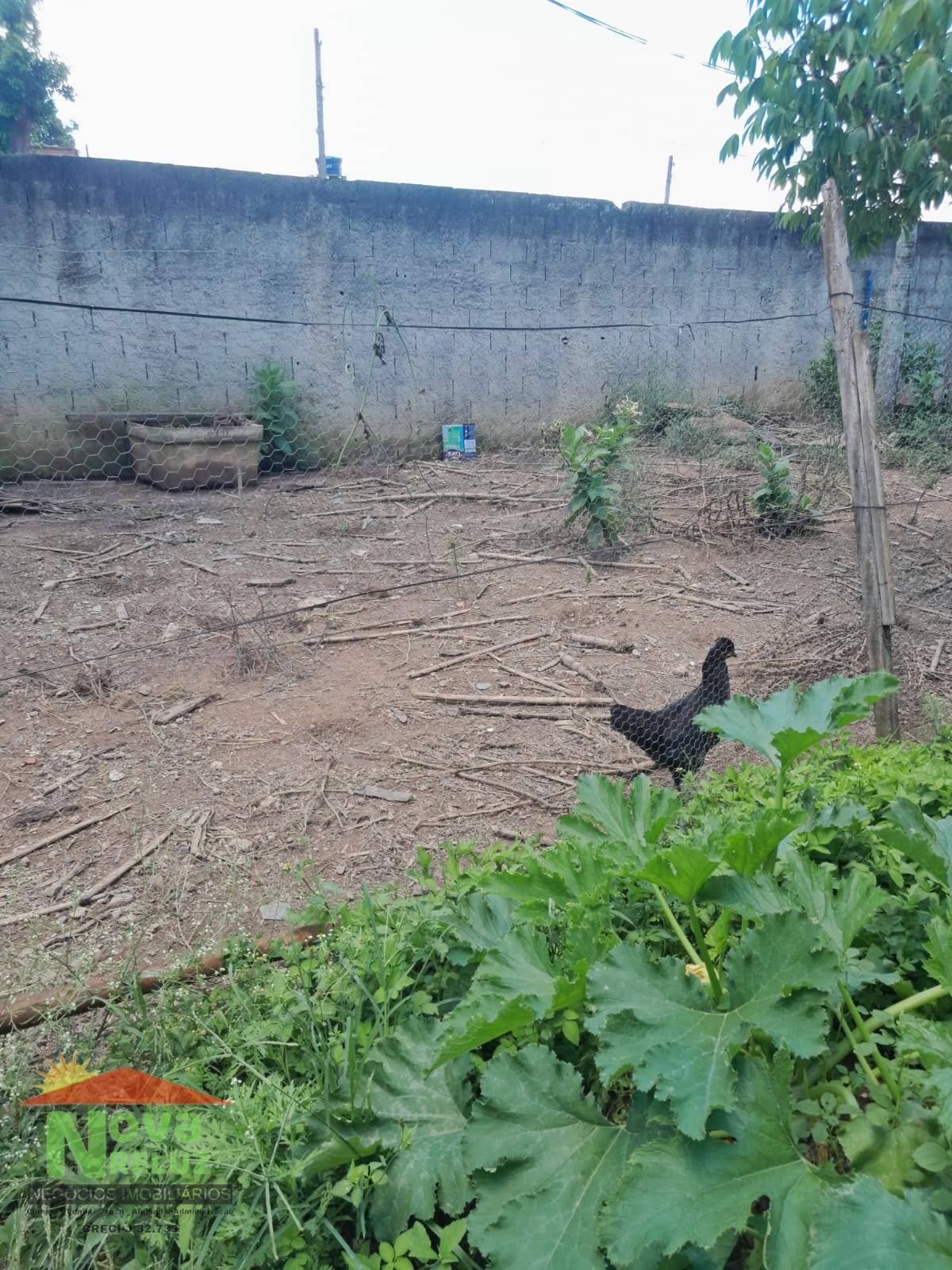 Terreno, 300 m² - Foto 3