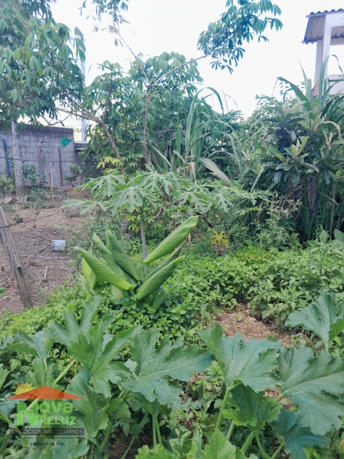 Terreno, 300 m² - Foto 1