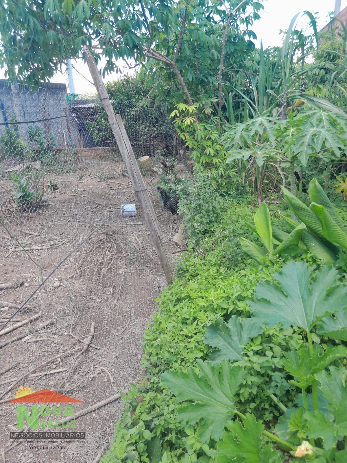 Terreno, 300 m² - Foto 5