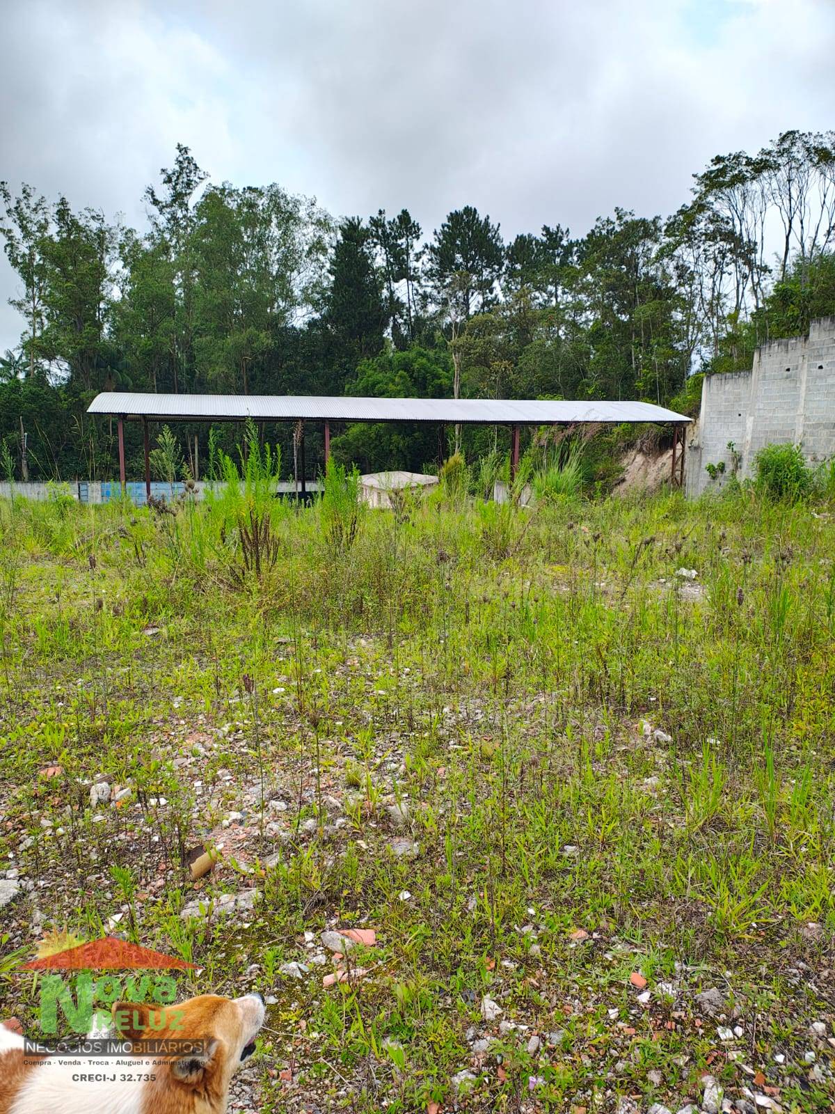 Terreno, 5700 m² - Foto 3