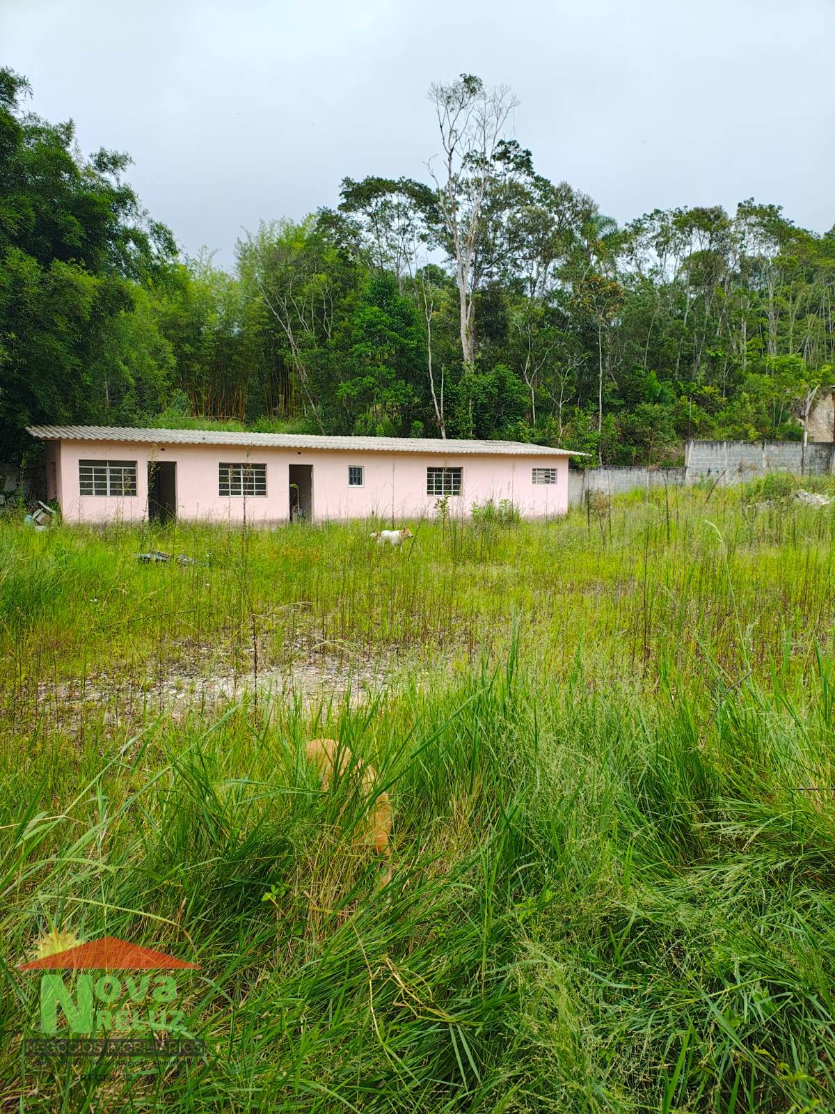 Terreno, 5700 m² - Foto 12