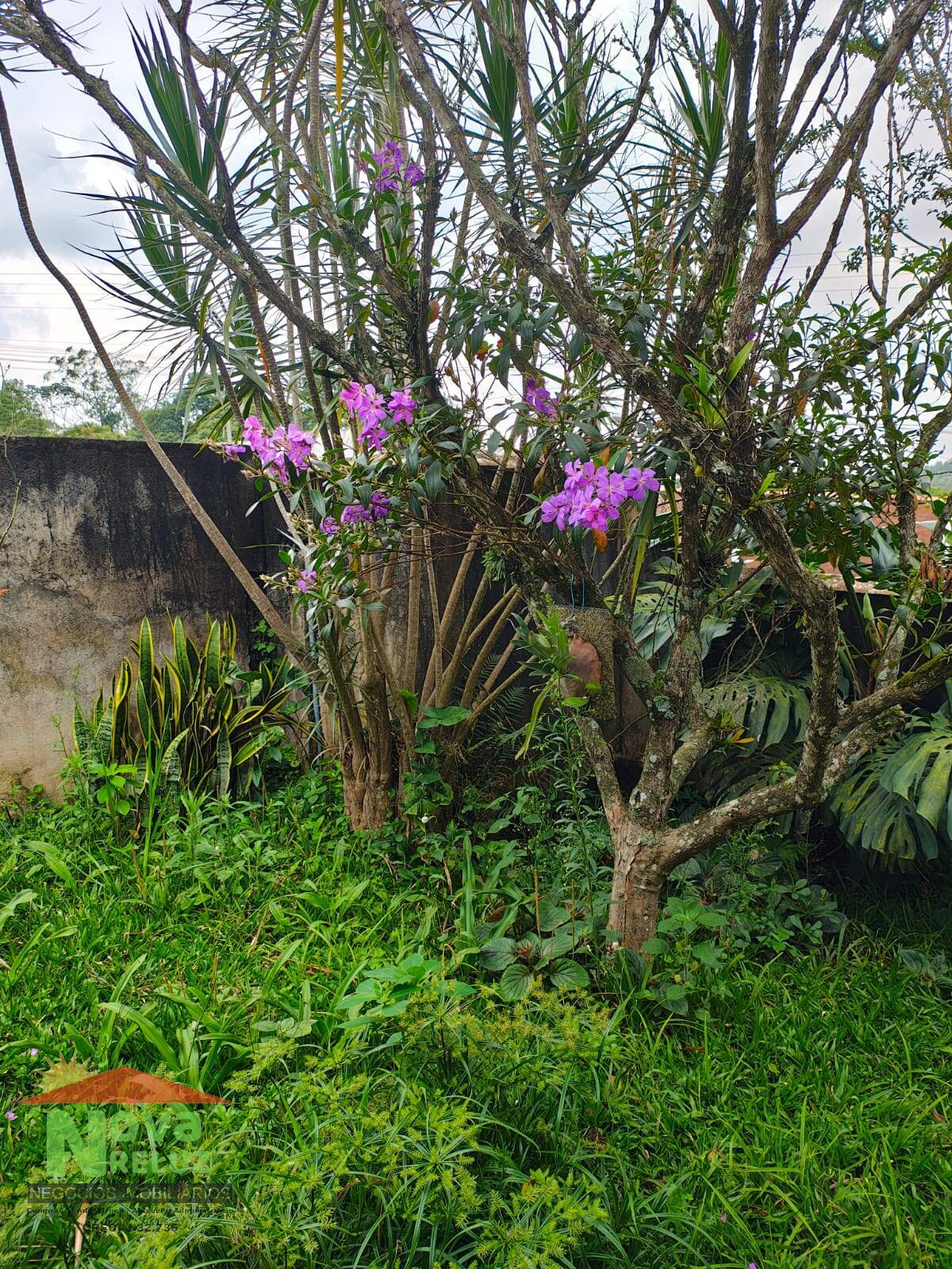 Casa, 2 quartos - Foto 17