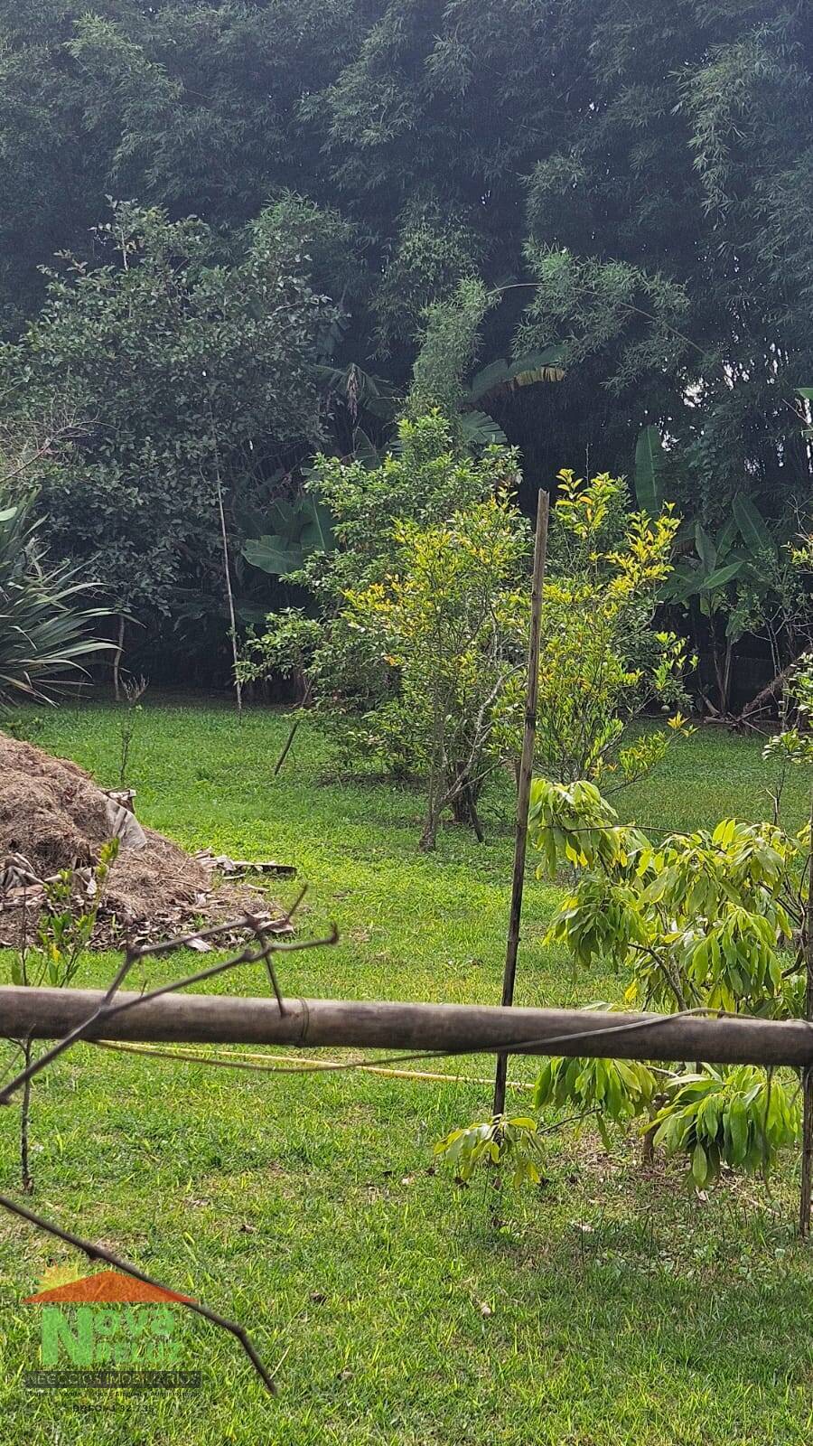 Chácara, 3 quartos, 1166 m² - Foto 9