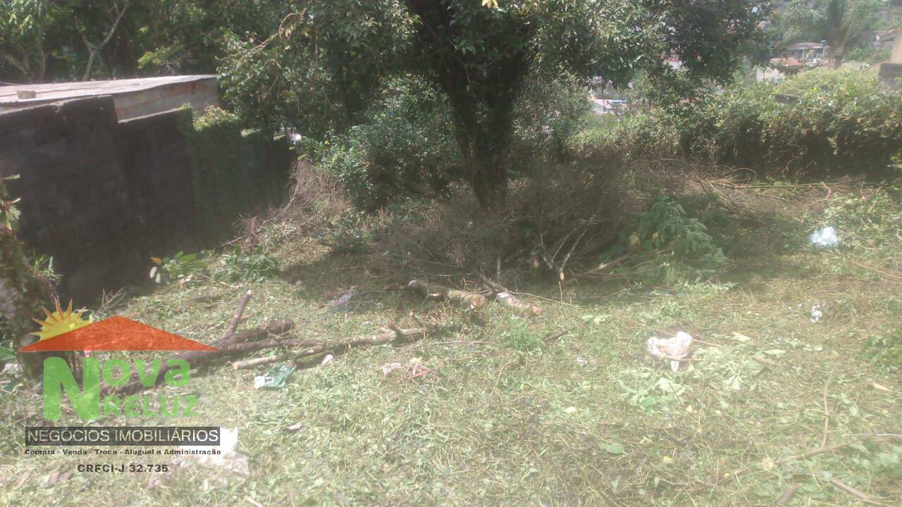 Terreno, 300 m² - Foto 4