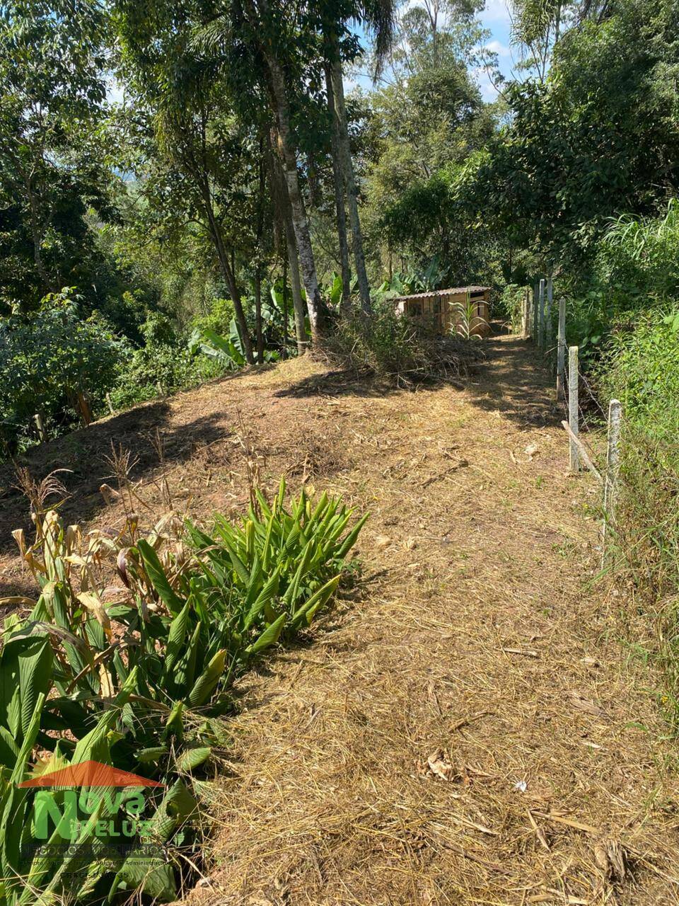 Terreno, 629 m² - Foto 4