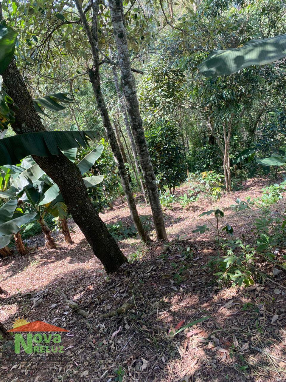 Terreno, 629 m² - Foto 5