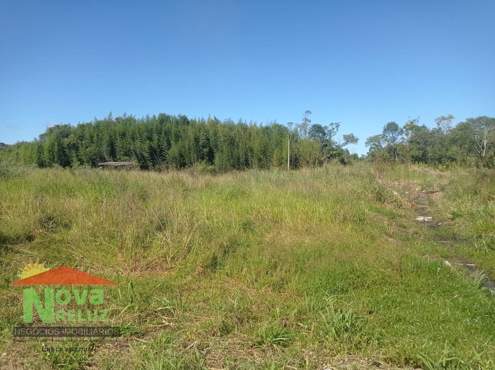Terreno, 1000 m² - Foto 5