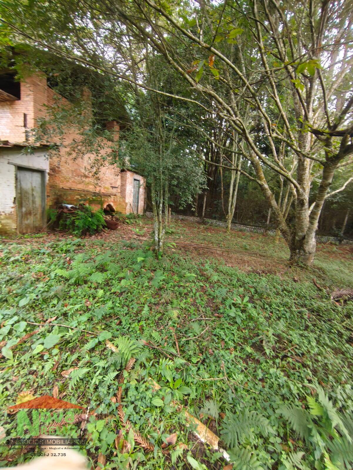 Casa, 4 quartos, 396 m² - Foto 22