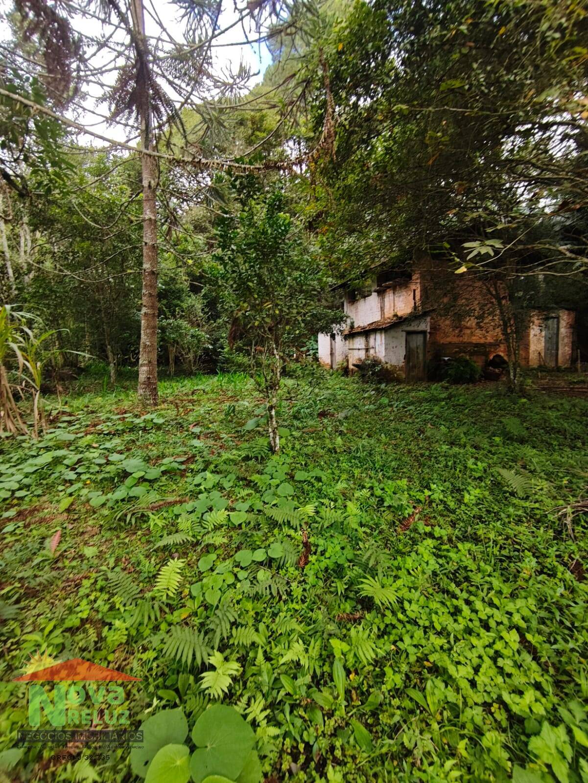 Casa, 4 quartos, 396 m² - Foto 23