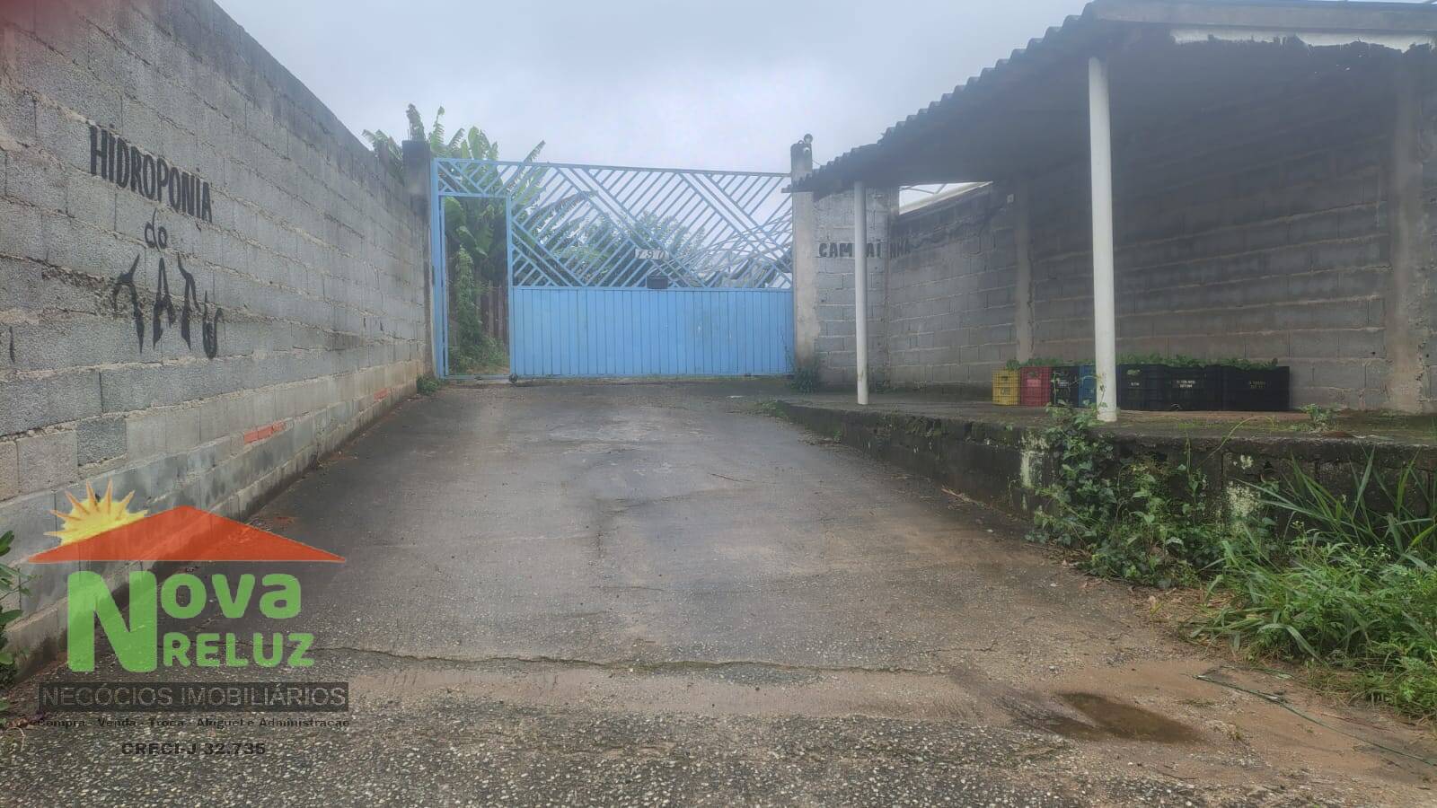 CHÁCARA COM NEGÓCIO FATURANDO: SUA OPORTUNIDADE DE TRABALHAR EM FAMÍLIA